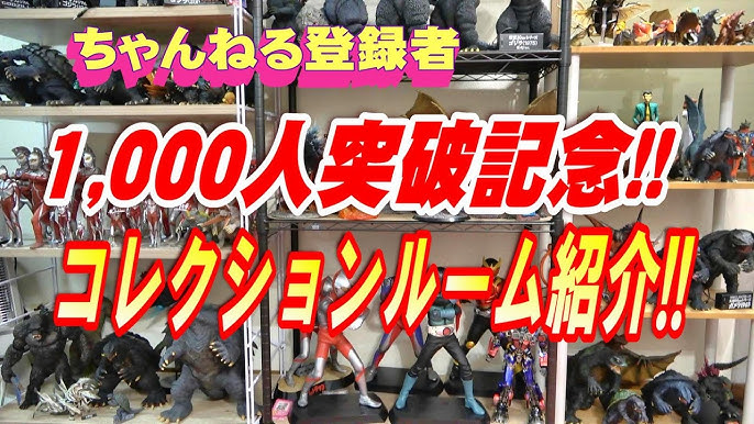 コレクションが主役！憧れのディスプレイスペースがある家づくり