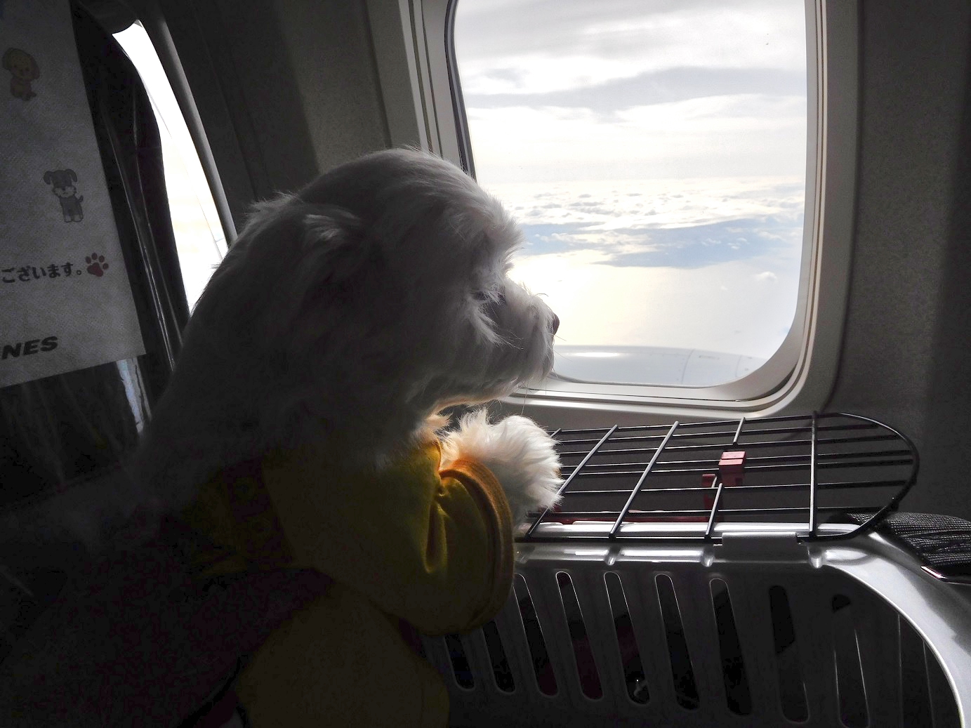 貨物機チャーター株式会社Jet Team