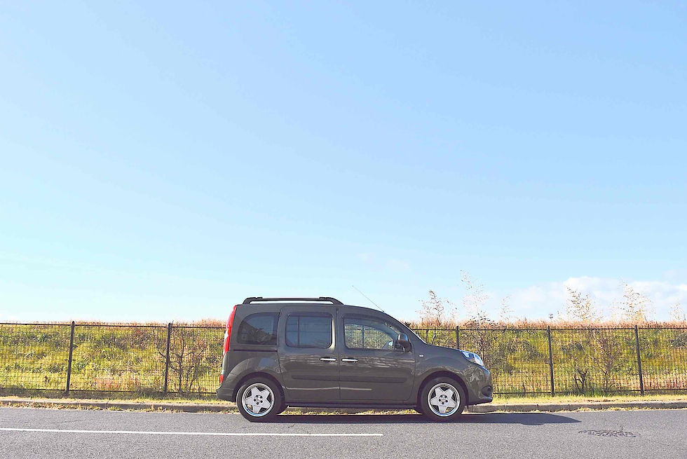 カングー新色 アルメドレール カーキKANGOO de BLOG