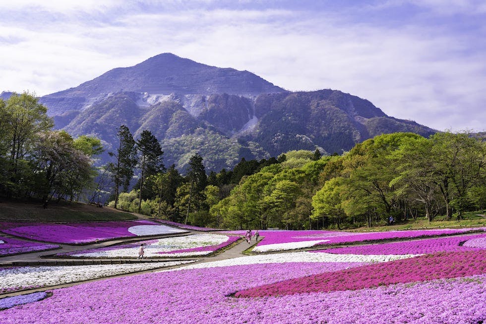ウイング・ハット春日部へ行くなら！おすすめの過ごし方や周辺情報をチェックHolidayホリデー