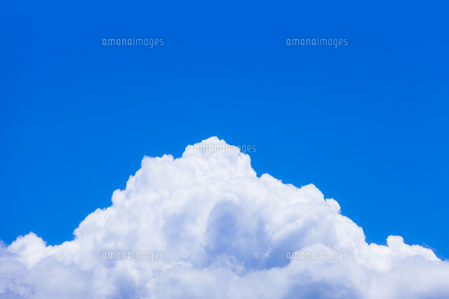 ヒトの受精の拡大図 コピースペースありのイラスト素材201079128- イメージマート