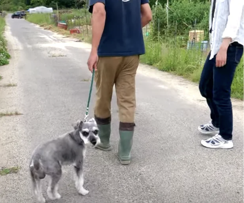 ◇ ウェンディーズpacapoミニ パカポポーチITS' DEMO イッツデモワールド オンラインストアWORLDONLINE STORE