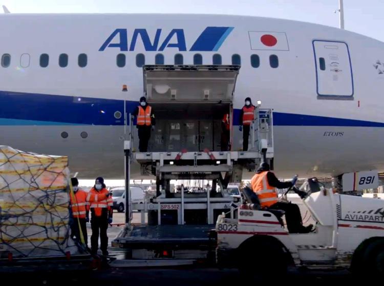 国際輸送の裏側 どうやって貨物を航空機に搭載するの？Worldship Search