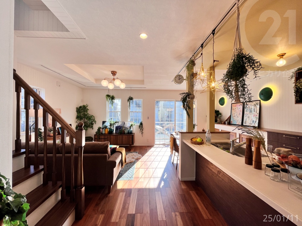 河野奈緒美ブリーダーのブログ商談中とか売約済みとか成約済みとか 25.8.20 みんなのブリーダ