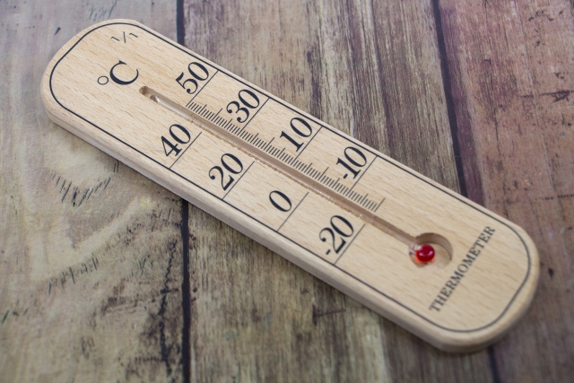 JALで行く！ペットとの空の旅のソノサキ密着取材♪～国内線編～ 搭乗編うちの子おでかけマップ