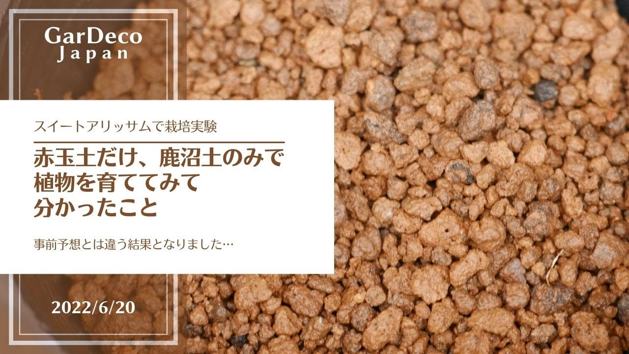 鹿沼興産 本場鹿沼産 赤玉土 大粒 １０Ｌ 283117 1袋 直送品- アスクル