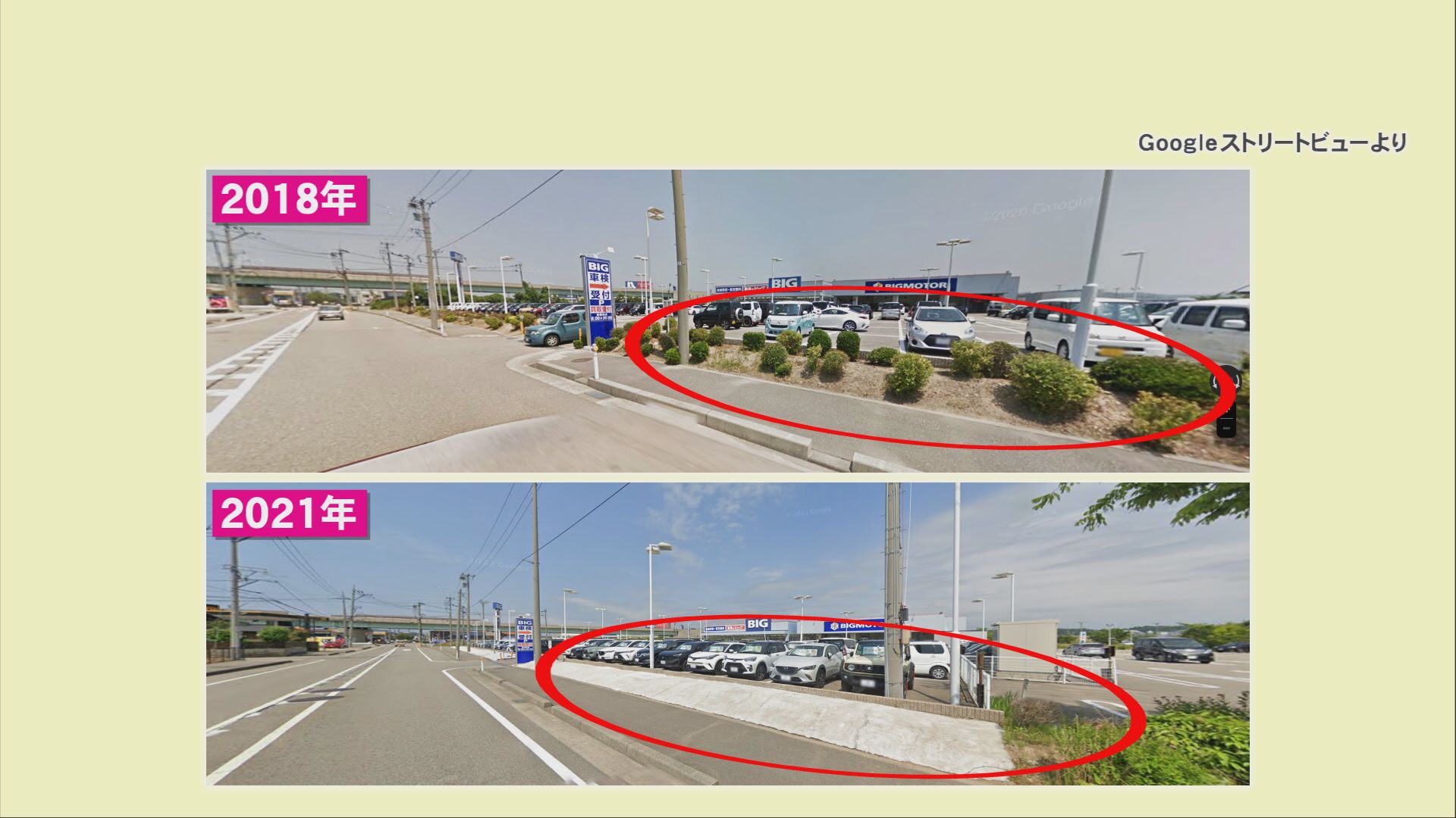 ビッグモーター神戸北店元店長を書類送検 店前のケヤキ14本を枯らした疑い - サンテレビニュース