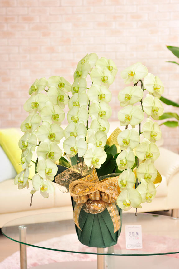 アレンジ」の意味とビジネスでの使い方！類語や英語表現も紹介TRANS.Biz