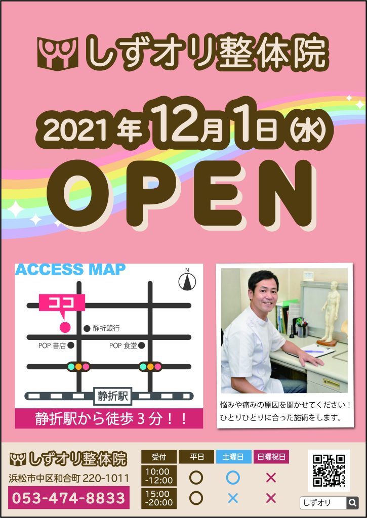 整骨院・接骨院・整体院集客チラシテンプレート片面ネコチラブログ
