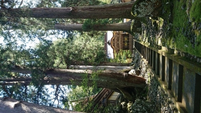 杉林建設 株@sugibayashi_cns• Instagram photos and videos