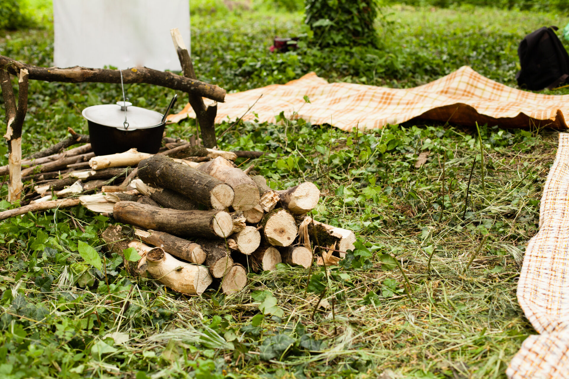 保存版 安い''薪''を手に入れる！一番楽な方法を検討してみた – 焚き火を愛しています