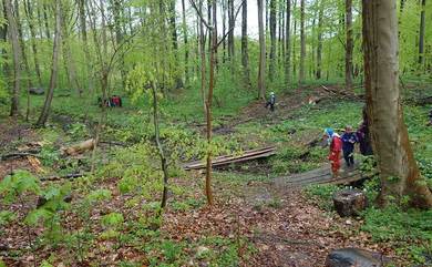 179点の佐藤 有香の写真と高解像度写真 - Getty Images