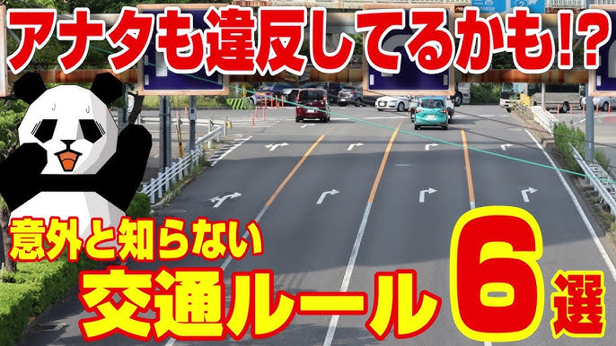 運転免許証の取消・停止