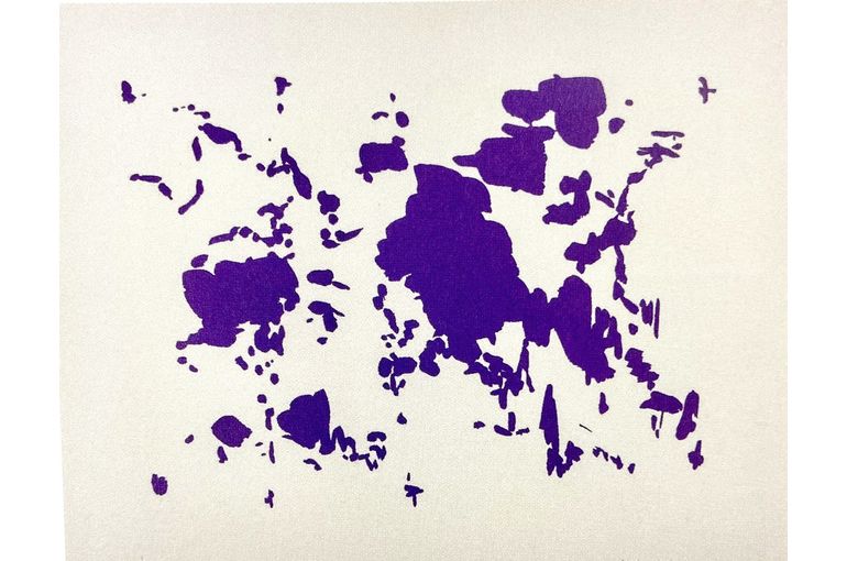 中西夏之 韻 洗濯バサミは攪拌行動を主張する 擦れ違い 遠のく紫近づく白斑中西夏之 Nakanishi Natsuyuki