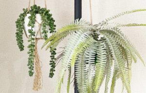 プレミアム光触媒フェイクグリーン 造花ドットコム@zouka.com.2021· Instagram photos and Reels