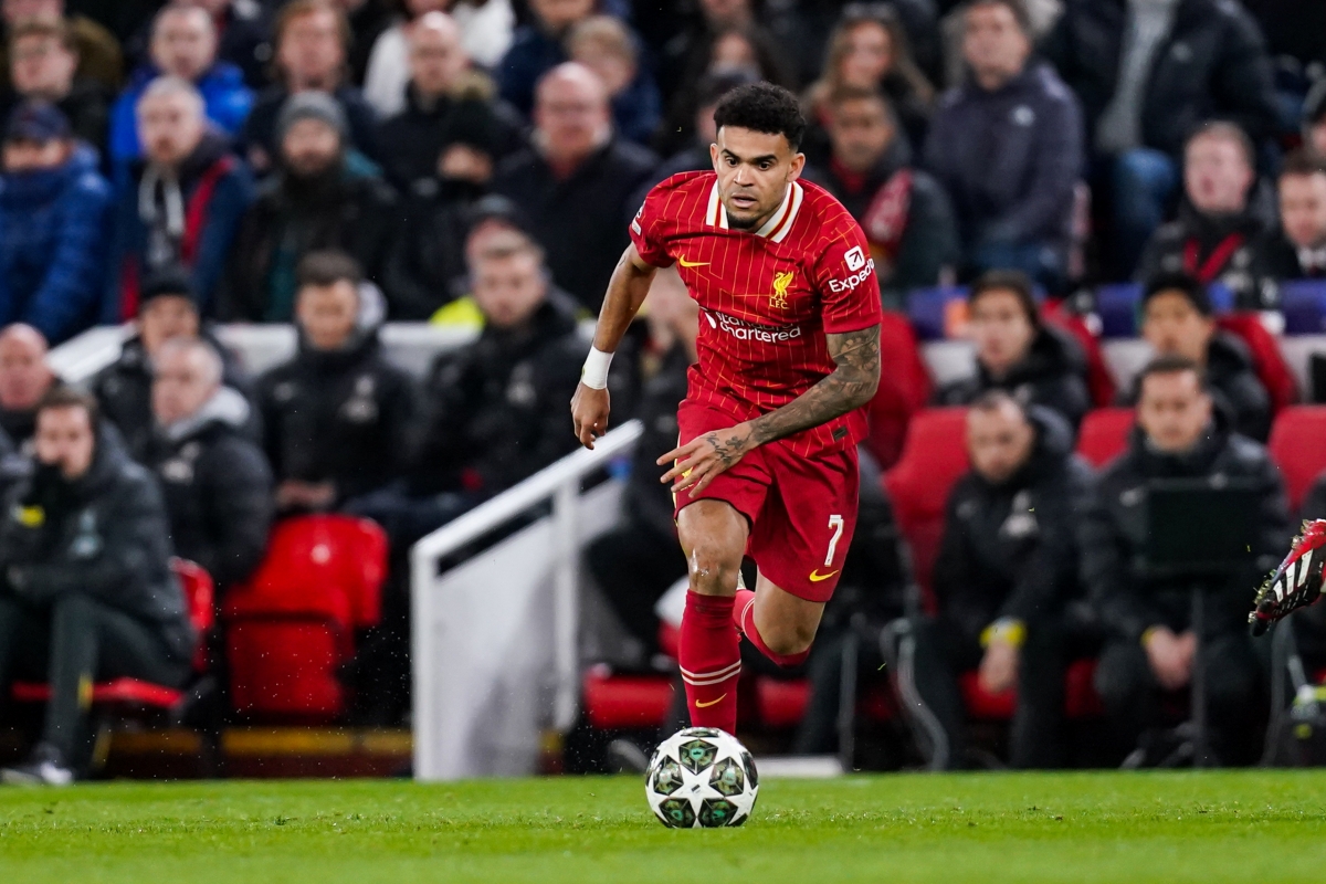 ディアスがシティに、アルバレスがリヴァプールに？英紙が2024年夏に行われた両クラブ間でのトレード案明かす theWORLD ｄメニューニュース NTTドコモ