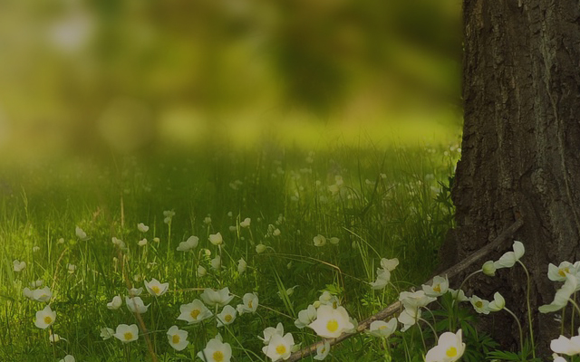 パッケージ印刷・UV印刷なら大阪・東大阪の明和商会 特殊紙対応