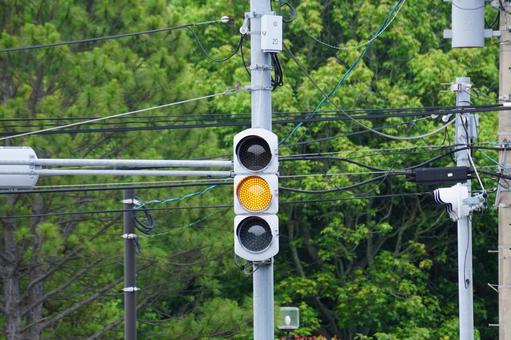 北海道の縦型カプセルフードLED信号機🧄🌰🧄🌰🧄道路標識マニア