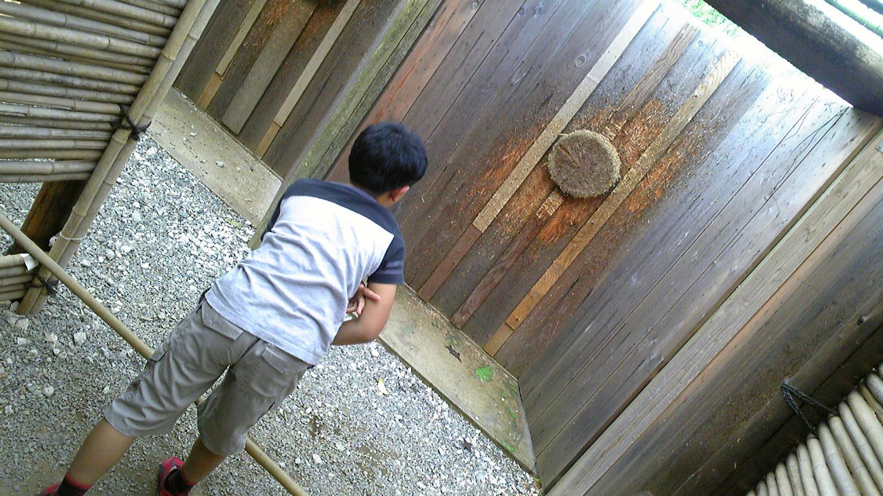 日本元気劇場 - にーぼーの散歩