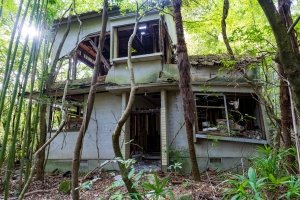 最新刊 読むゾゾゾ 特別編 - 捨てられた心霊写真 - - 実用 ワニブックス：電子書籍試し読み無料 - BOOK☆WALKER