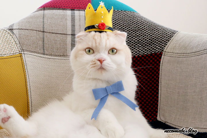 警察官 帽子 手作り 簡単TikTok