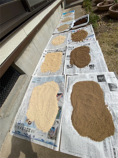 ガーデニングの基本用土「赤玉土」と「鹿沼土」の特徴と混合例をいくつか。白石宗隆