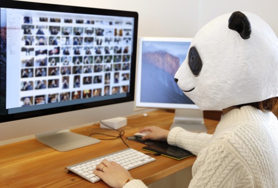 Amazon.co.jp: ツボ押しボール マッサージグッズ 吸着式2個セット 指圧マッサージボール ヨガボール 首こり肩こり解消ほぐすグッズポイント刺激 筋膜リリースボール リンパ流し 頭 首 肩 背中 腰 太もも : スポーツ＆アウトドア