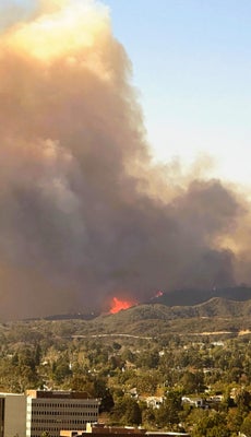ロサンゼルス山火事、住民ら「アルマゲドンのようだ」 : 日本•国際 : ハンギョレ新聞