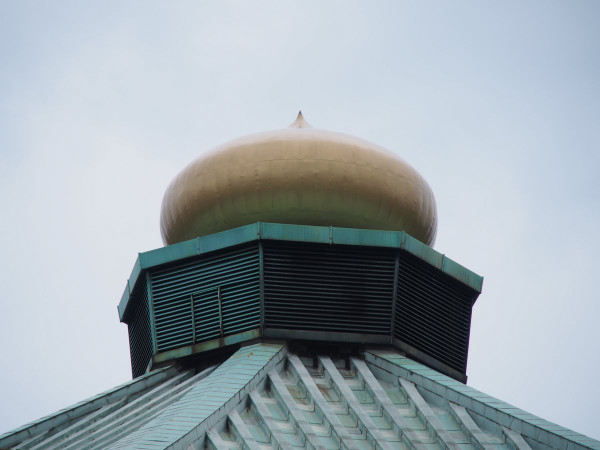 カラフルなテープが舞う東京・日本武道館。 - Appare!「玉ねぎごちそうさまでした」開催中止を経てたどり着いた武道館ワンマン、天気は晴天画像ギャラリー 5 100- 音楽ナタリ