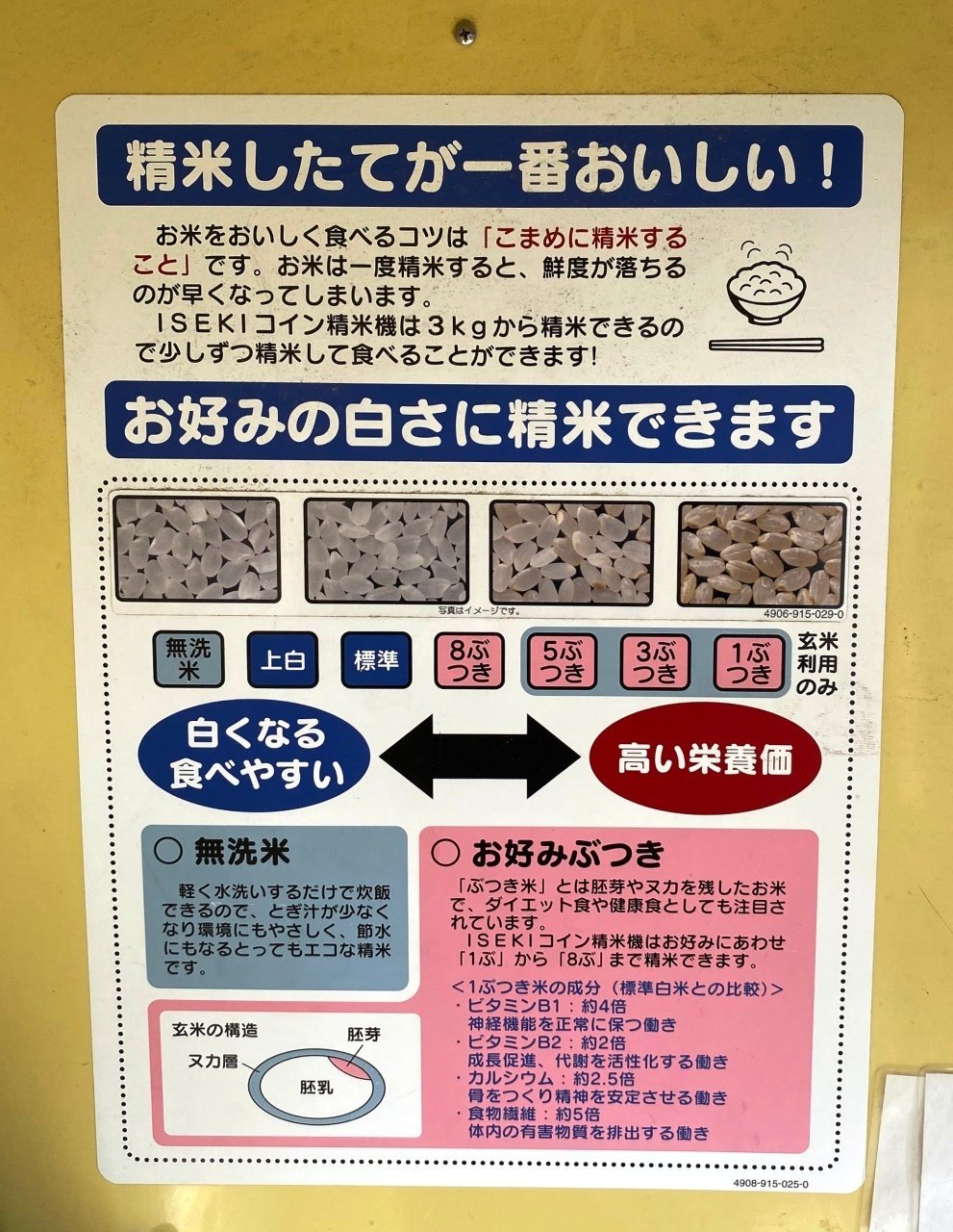 イネ 米農家で働いてはじめて知ったお米のアレコレ〜コイン精米機の裏側はどうなってるの？イネ科イネ属エバーグリーン – エバーグリーンポスト