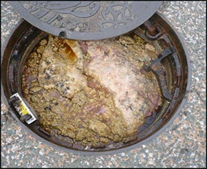 地溝油退散！防毒油3絕招－矽谷美味人妻商周