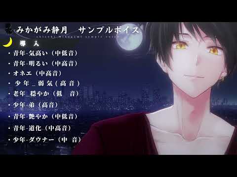 ぴた声 若い男性 vol.1 ベクターPCショップ