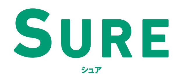 ソニー損保の自動車保険をネットで更新手続きをしてみた解説ゾロ