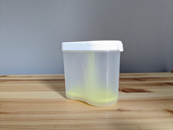 ダイソー ダイソー新商品 ダイソー購入品 daisoカラビナ キーホルダー かわいい🧸🐰⸝꙳* 他の形、色もあったよ〜♪♪