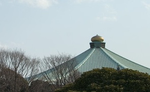 Appare!Appare! やったれ武道館～玉ねぎいただきます！～ – チケット情報・販売・購入・予約楽天チケット