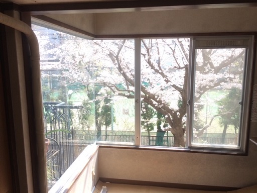 コーナー窓で特別な景観を演出する方法