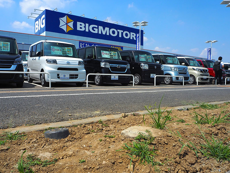 ビッグモーターとカルテル問題の根底にある、損保業界のいびつな商習慣とは？総予測2024ダイヤモンド・オンライン