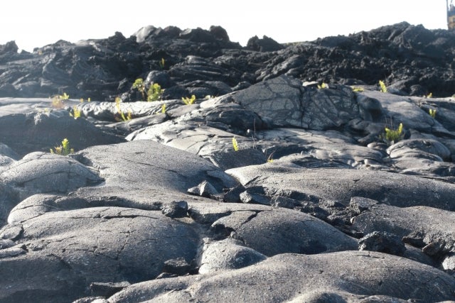 のんびり地学基礎28 ロックサイクル柚起乃。～のんびり地学遅延中～