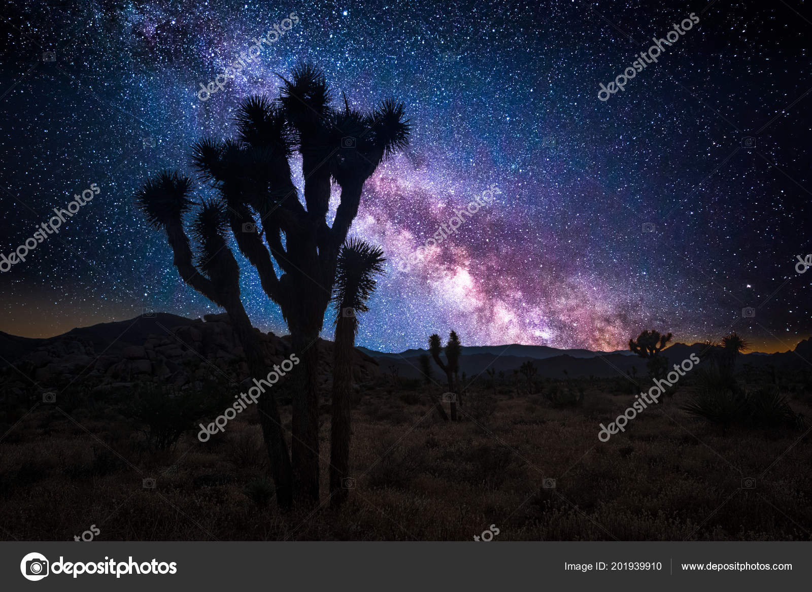 nayuta生誕記念コラボイヤホン 初回限定40台は即完売、現在第四次受注準備中！本人完全プロデュースデザインの特別モデル