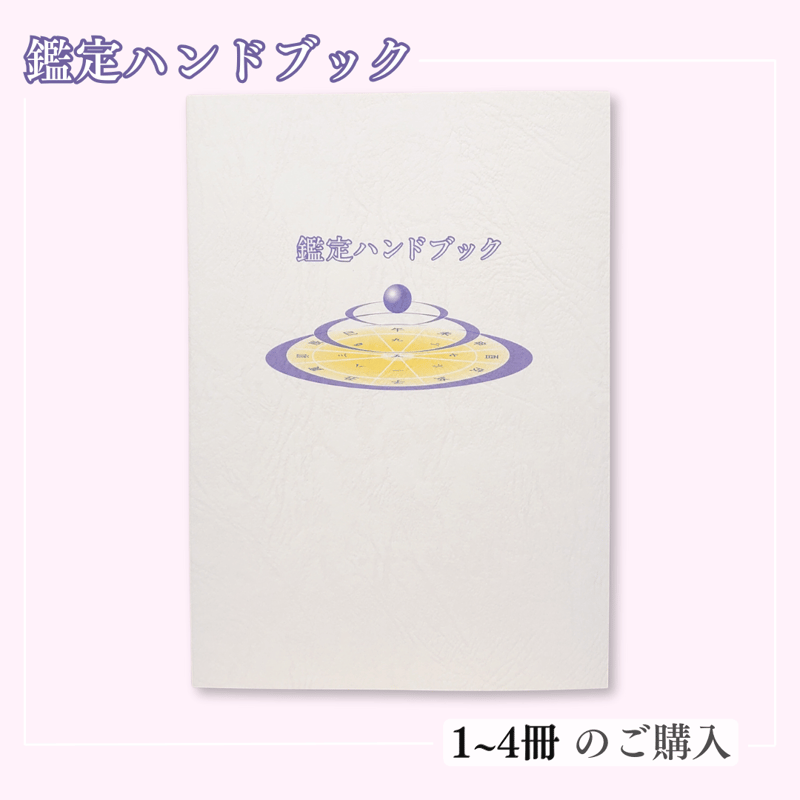 中古金融機関の信用リスク・資産査定管理態勢 平成19年度版金融検査