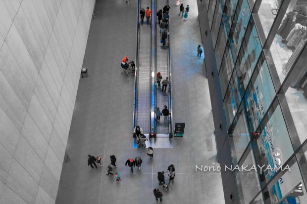 チェコ造幣局2023年発行『ライオン金貨』東京書芸館公式通販ウェブサイト -国内外の優れた伝統工芸品・美術工芸品の販売・通販サイト 東京書芸館公式サイト