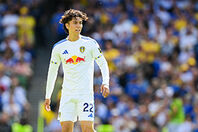 10,317点のエドソン・アルバレスの写真と高解像度写真 - Getty Images