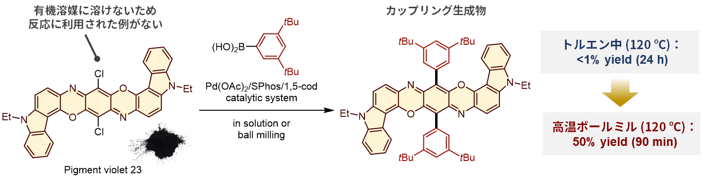 精密分子変換化学分野九州大学大学院薬学研究院