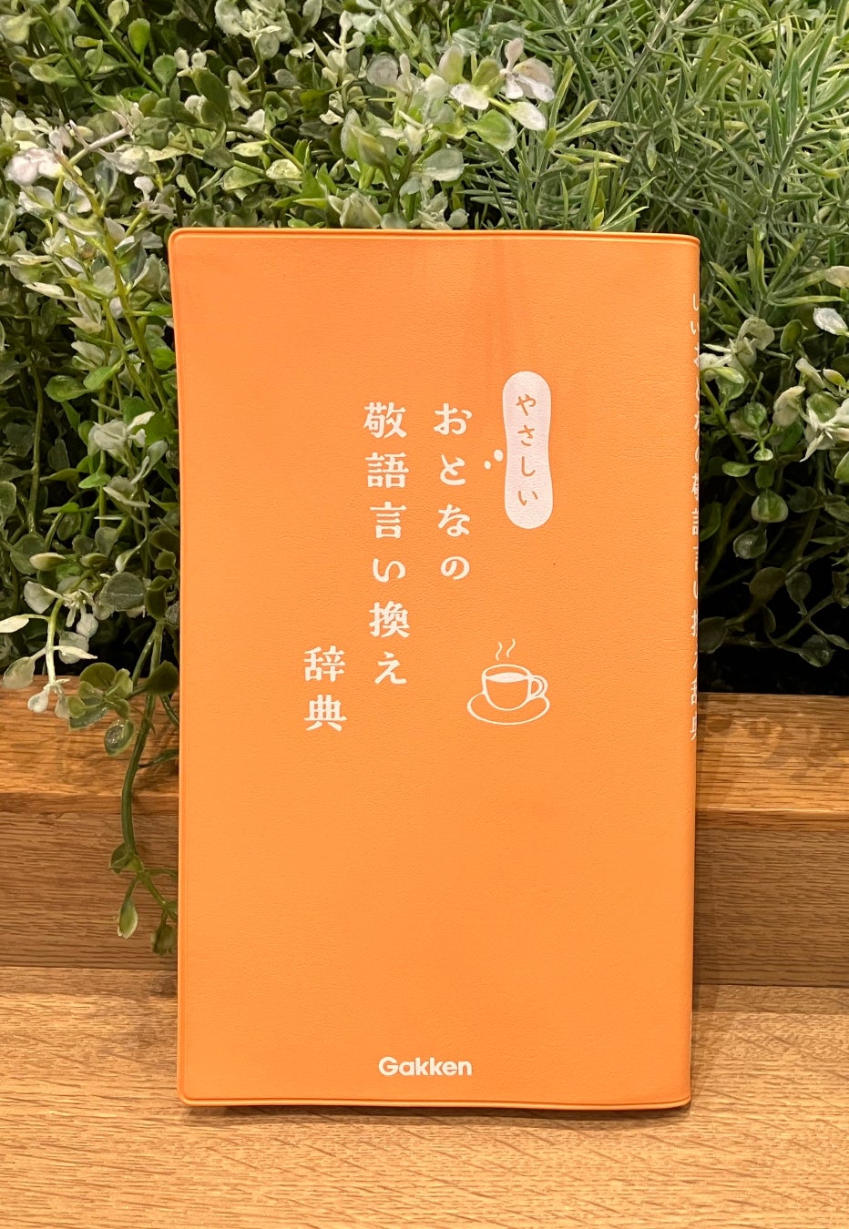 依然」とは状態がもとのままであること！正しい意味を例文とともにご紹介Domani
