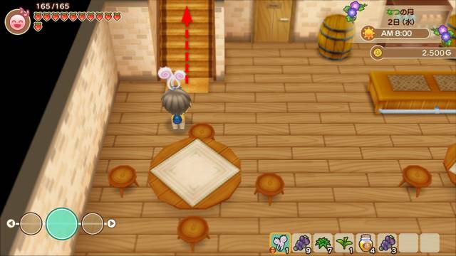 １２０ バァンさんの店の謎の100万円の本を買ってみた！ 牧場物語 再会のミネラルタウン