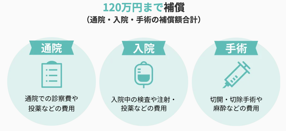 リトルファミリー少額短期保険 わんデイズ・にゃんデイズの見積もり・シミュレーション・評判・口コミ