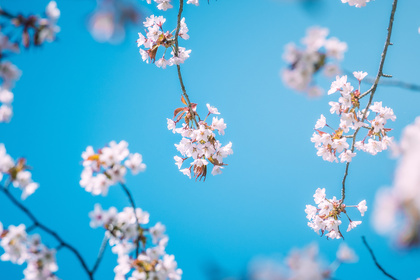 お祝いメッセージの書き方や例文・文例を相手別に紹介！就職祝いに喜ばれるおすすめプレゼントも