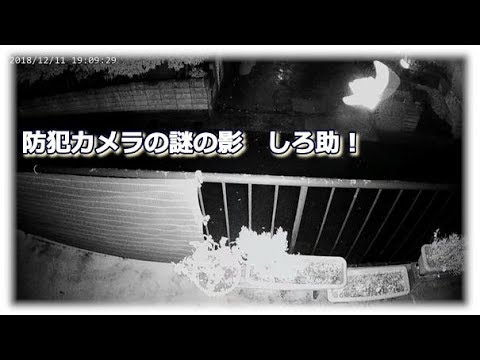 アルソックの白いのは防犯カメラなの？正体や役割を詳しく解説