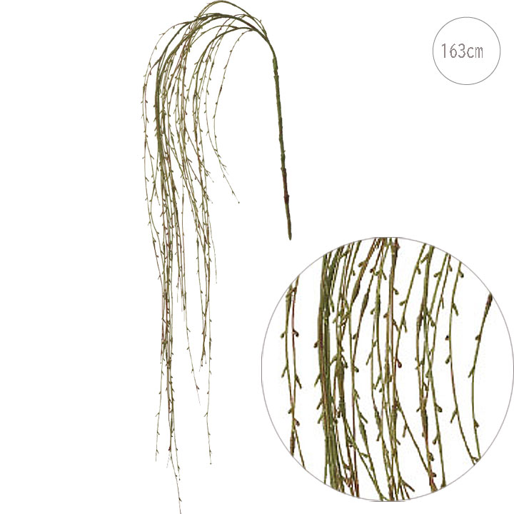 楽天市場 柳 の 枝の通販