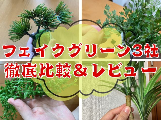 ランノハナドットコム クマサキ洋ラン農園 口コミと5つの特徴を花屋が網羅的に説明